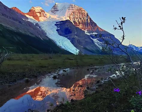 A Path To Recovery The Berg Lake Trail Flood At Mount Robson — State