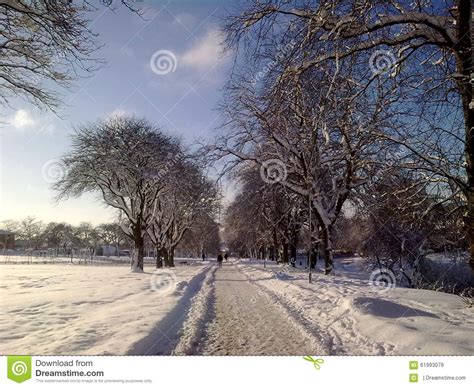 Snowy Park On A Winters Day Stock Image Image Of Nature Snowy 61993079