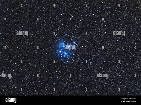 Wide Field Of The Pleiades Also Known As The Seven Sisters And Messier