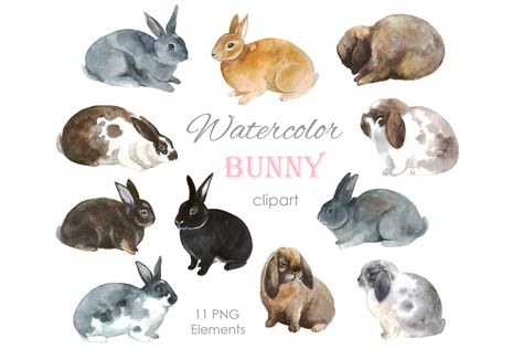 Watercolor Bunny Clipart Easter Bunny Graphic By Komtsyantatyanaart