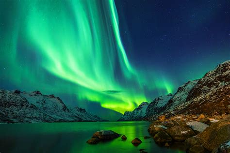 In Search Of The Northern Lights Norway Cruise Webjet
