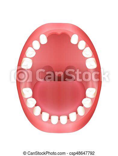 Tooth Missing Child Mouth Front Teeth Missing Illustration Of A