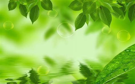 Charming Green Nature Desktop Backgrounds Clean Kiss Enhanced Oral