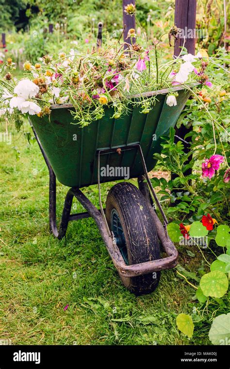 Wheelbarrow Flowers Hi Res Stock Photography And Images Alamy