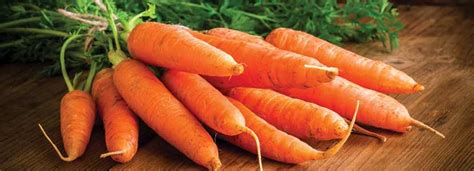 Benefits Of Carrot And Its Side Effects Lybrate