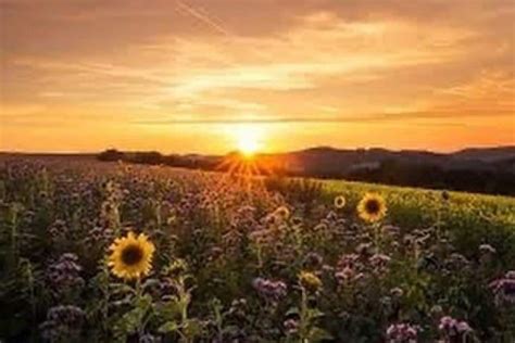 Midsummer brings the long drawn day, the dawn dance sends us on our the image is roughly 5x7 inches, so it has a good clear border around for ease of framing. Summer Solstice 2020: All You Need to Know About The ...