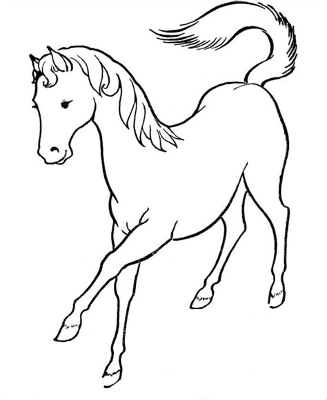 14 Horse Coloring Pages Free Pdf Document Download