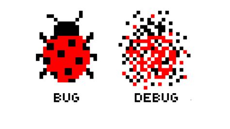Bug And Debug
