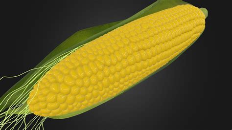 Corn 3D Model By Llllline 6d052d3 Sketchfab
