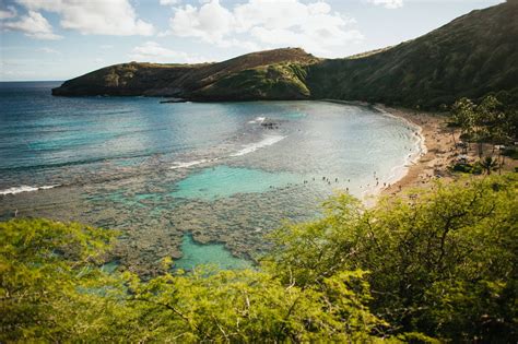 Best Snorkeling In Hawaii Big Island Maui And Oahu Expedia