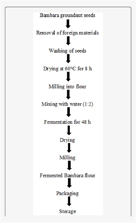Process Flow Chart For The Production Of Fermented Fermentation 769x1262 Png Download Pngkit