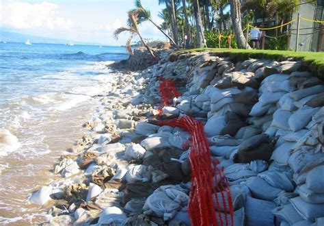 Ewa Hawaii Karst Sea Level Rise And Groundwater Inundation In Honolulu