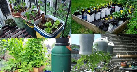 14 Best Diy Self Watering Container Garden Ideas Balcony Garden Web