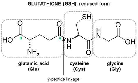 Glutathione Health Benefits Uses Dosage Safety And Side Effects