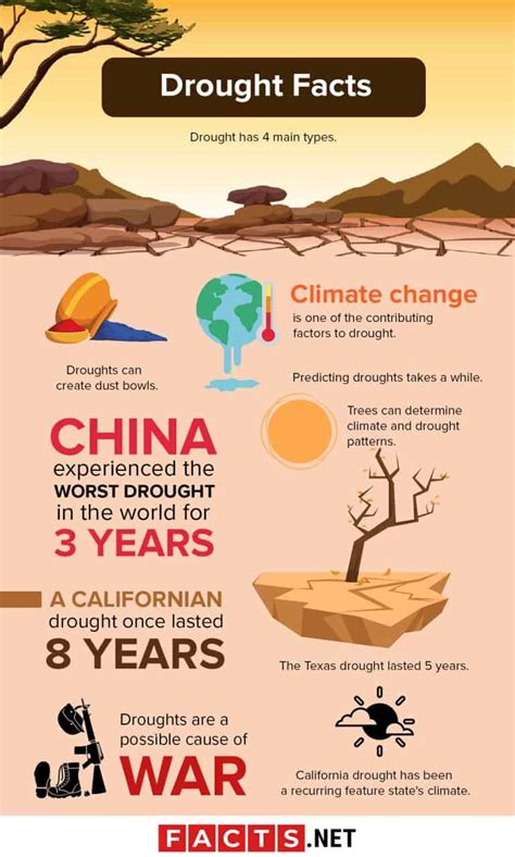30 Interesting Drought Facts That Are Actually Not So Dry