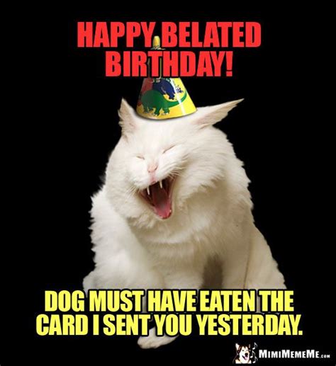 Cool Happy Belated Birthday Cat Meme References