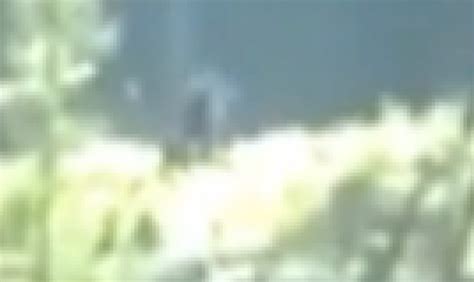 Bigfoot Captured On Video By Canadian Hikers Video Huffpost