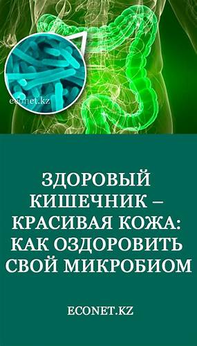 Здоровый кишечник – красивая кожа: Как оздоровить свой микробиом Картинка - Здоровый кишечник – красивая кожа: Как оздоровить свой микробиом