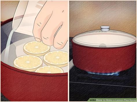 How To Make A Lemon Flea Spray 14 Steps With Pictures Flea Spray