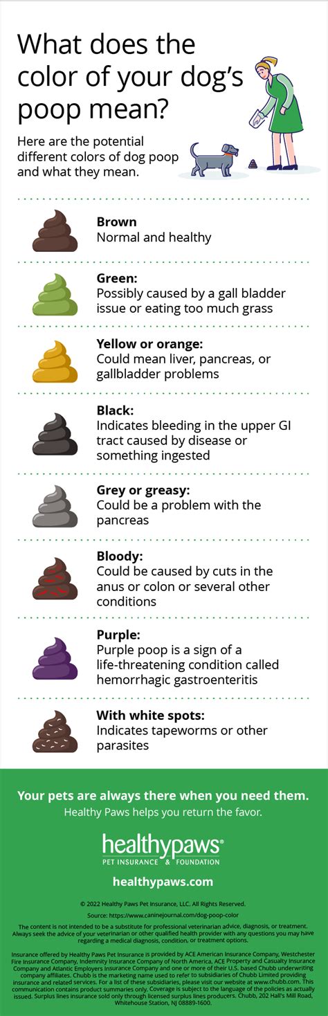 Dog Poop Color Chart Find Out What Each Color Means