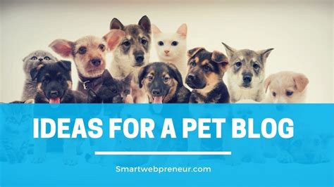 Pet Blog Post Ideas 36 Interesting Topics For Your Pet Blog