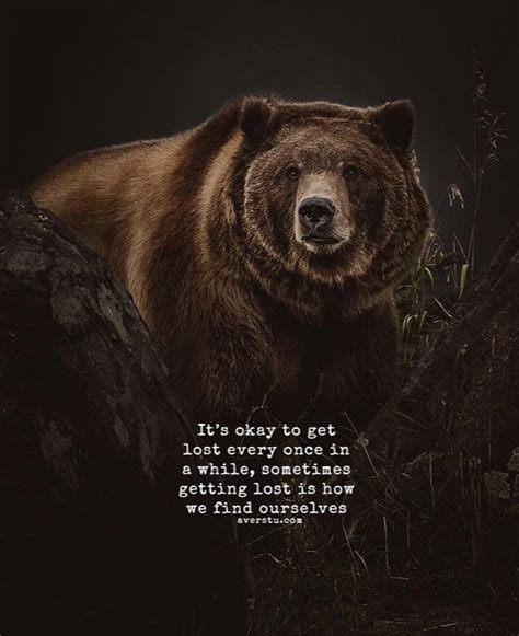 Bear Quotes Semajkruwellis