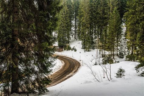 Free Images Tree Nature Forest Wilderness Snow Winter Trail