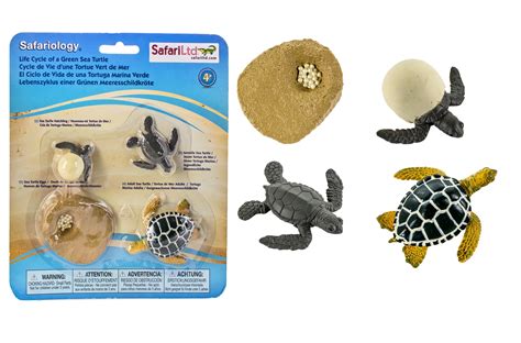 Buy Safari Ltd Life Cycle Of A Green Sea Turtle Educational Toy