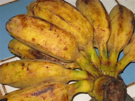 Banana folders, fried bananas with orange marmalade tarladal. Cook this Recipe: Recipe: Fried Bananas