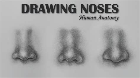How To Draw Nose Front View Step By Step Human Anatomy Youtube