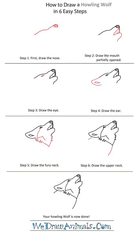 How To Draw A Wolf Howling Head