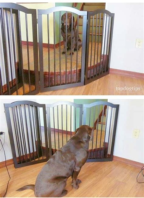 The 10 Best Indoor Pet Gates Diy Dog Gate Dog Gate Indoor Pet Gates