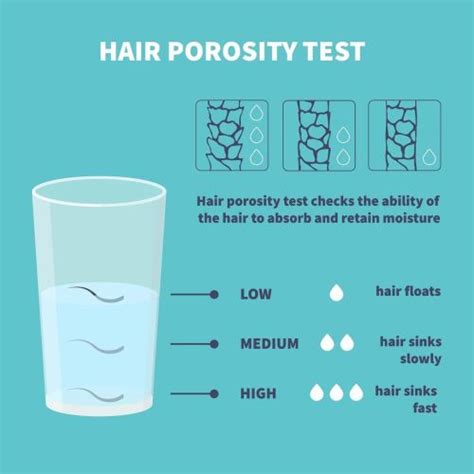 Hair Porosity 101 With The Ultimate Care And Styling Tips