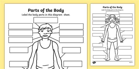 Before reading the body parts list, take a look at different human body systems so that it will be regional parts. Parts Of The Body Worksheets | Pre-K/K-1 Labelling Activity