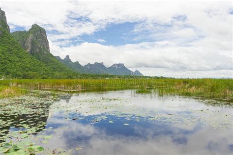 Lotus Lake At Khao Sam Roi Yod National Park Thailand Stock Image
