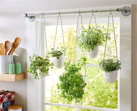 Simple Indoor Herb Garden Ideas For More Healthy Home Air Hanging