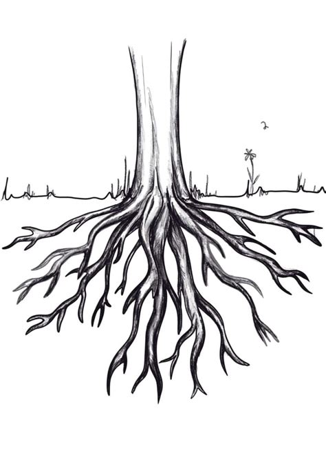 Tree Drawing With Roots And Branches Legg Fatersainat
