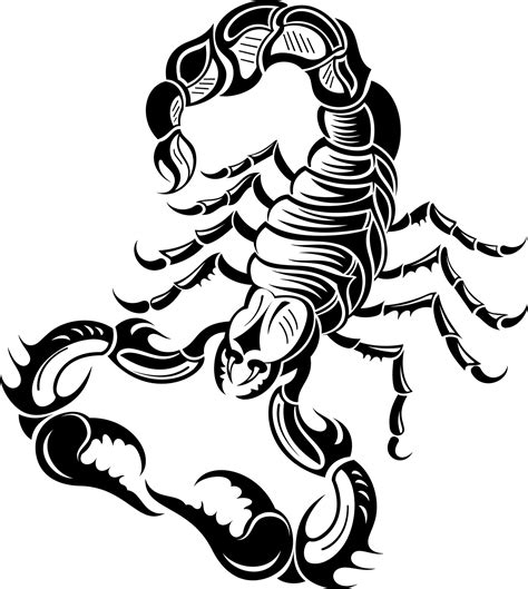 Scorpion Illustration Tattoo Png Download Free Transparent Scorpio Png Download