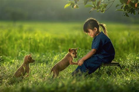 Young Girl Playing With Dog By Jakkree Thampitakkul Photo 119722701