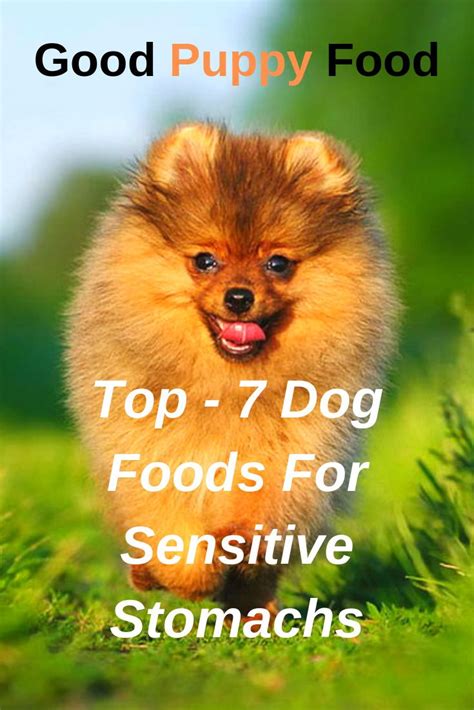 Certain breeds such as scottish terriers are known to have more sensitivity to foods. Sensitive Stomachs | Best puppy food, Sensitive stomach ...