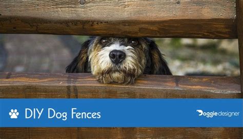 8 Diy Dog Fences You Can Build Today With Pictures Doggie Designer