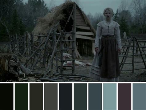 Movie Title The Witch 2015 Movie Color Palette The Witch Movie