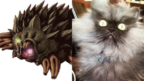 5 Cats That Look Suspiciously Like Video Game Villains Gameskinny