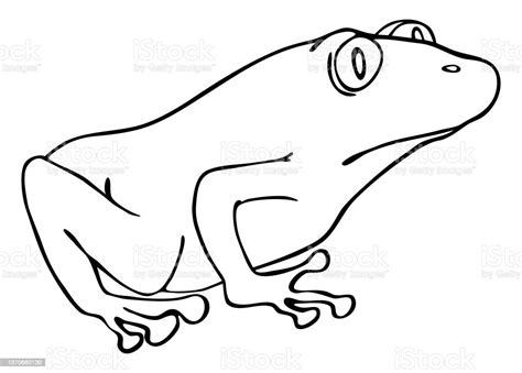 Cartoon Illustration Of The Green Frog Stock Illustration Download