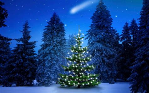 Christmas Forest Wallpapers Top Free Christmas Forest Backgrounds