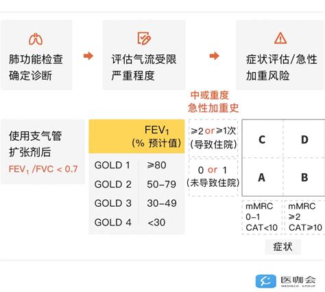 Healthcare professionals express pulmonary function test results as. 重磅发布!2020版GOLD COPD指南出炉!_治疗