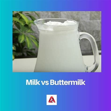 Milk Vs Buttermilk Difference And Comparison