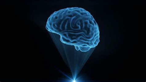 The Holographic Brain At The Intersection Of Neuroscience And