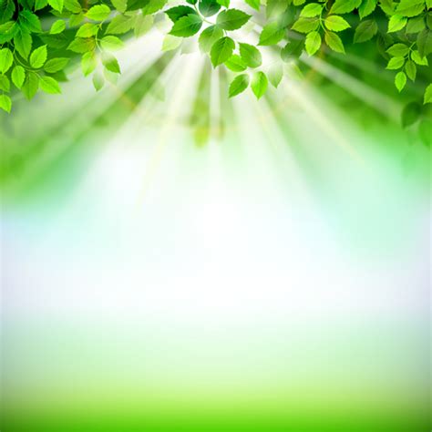 Download free background vectors and other types of background graphics and clipart at freevector.com! Sunlight with green leaves shiny background vector 03 free ...
