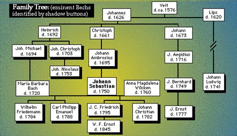 Enlightenment Johann Sebastian Bach Johann Sebastian Bachs Interview